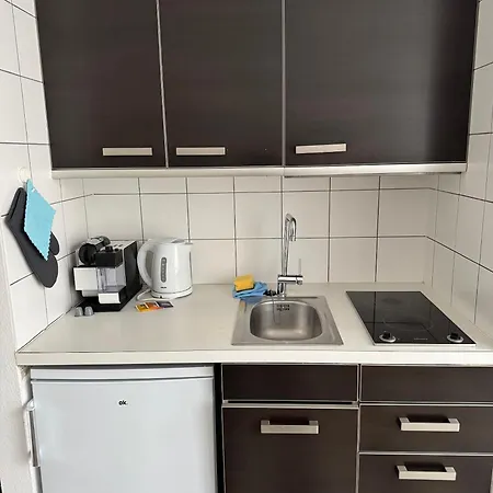 Terrassenwohnung Mit Donaublick 4 شقة *