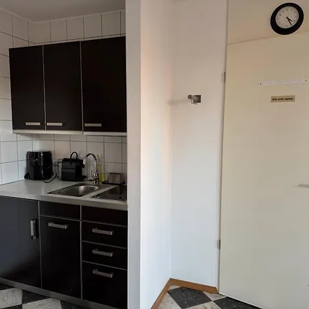 Terrassenwohnung Mit Donaublick 4 Apartment