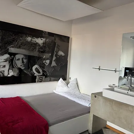 Terrassenwohnung Mit Donaublick 4 *